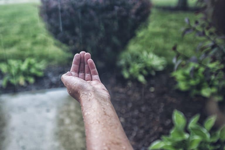 Pourquoi récupérer l’eau de pluie